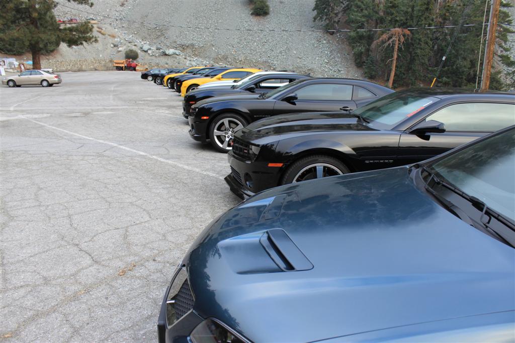 Name:  IMG_5716 (Large).JPG
Views: 3308
Size:  120.1 KB