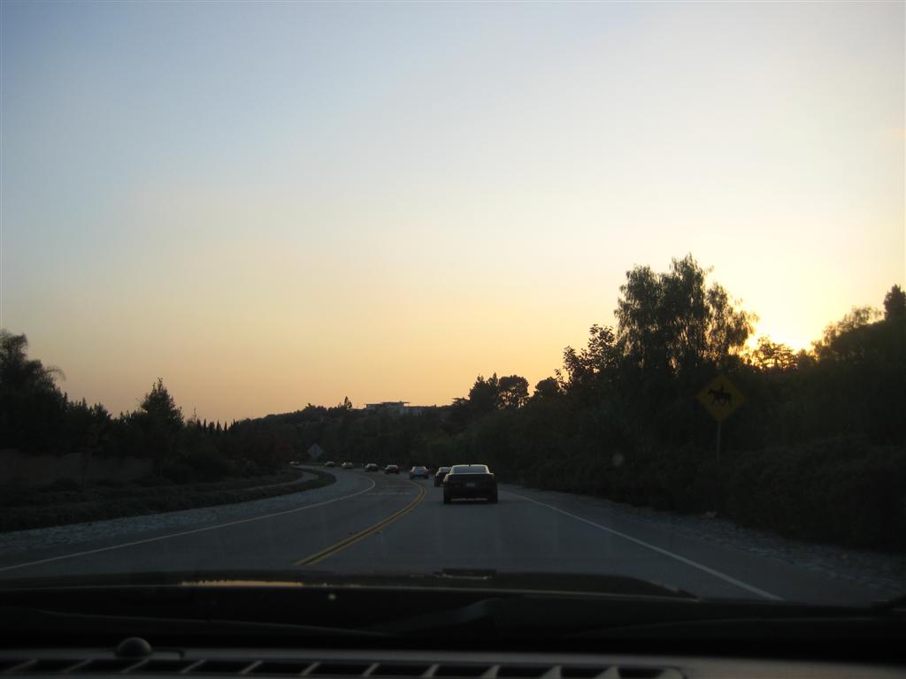 Name:  IMG_0798 (Large).JPG
Views: 3304
Size:  44.9 KB