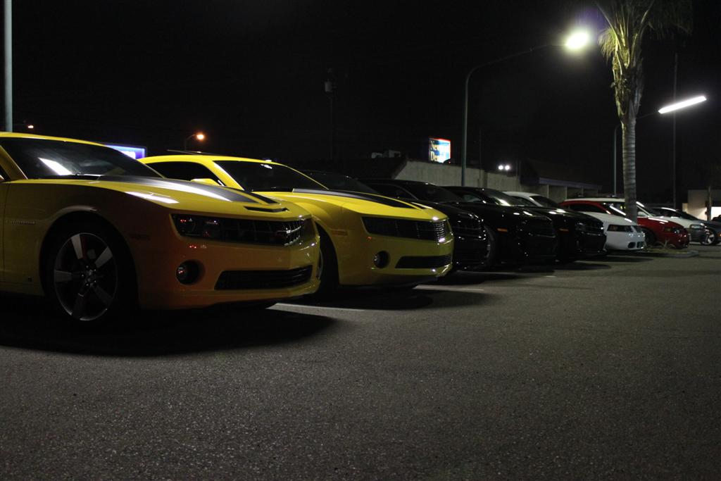 Name:  IMG_5744 (Large).JPG
Views: 3313
Size:  81.8 KB