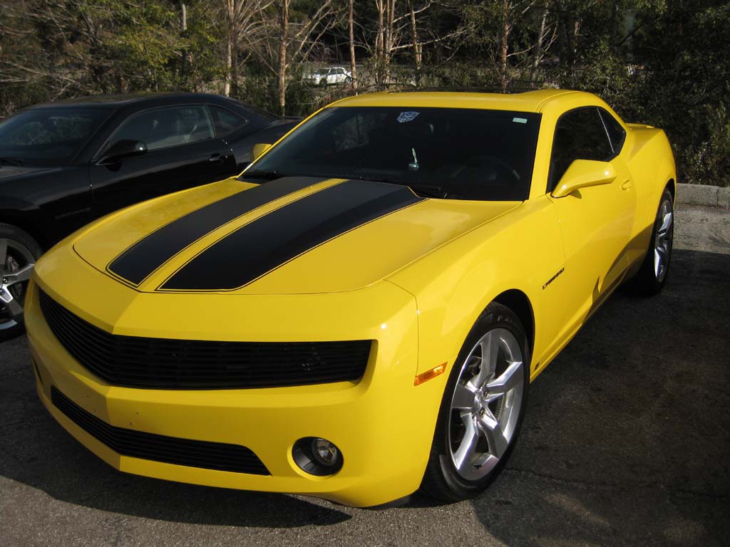 Name:  IMG_0503.jpg
Views: 450
Size:  119.0 KB