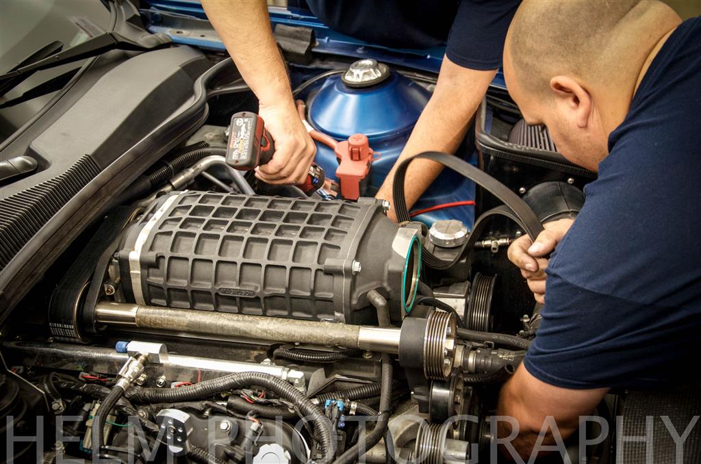 Name:  DSC_1419 (Custom).jpg
Views: 7471
Size:  146.7 KB