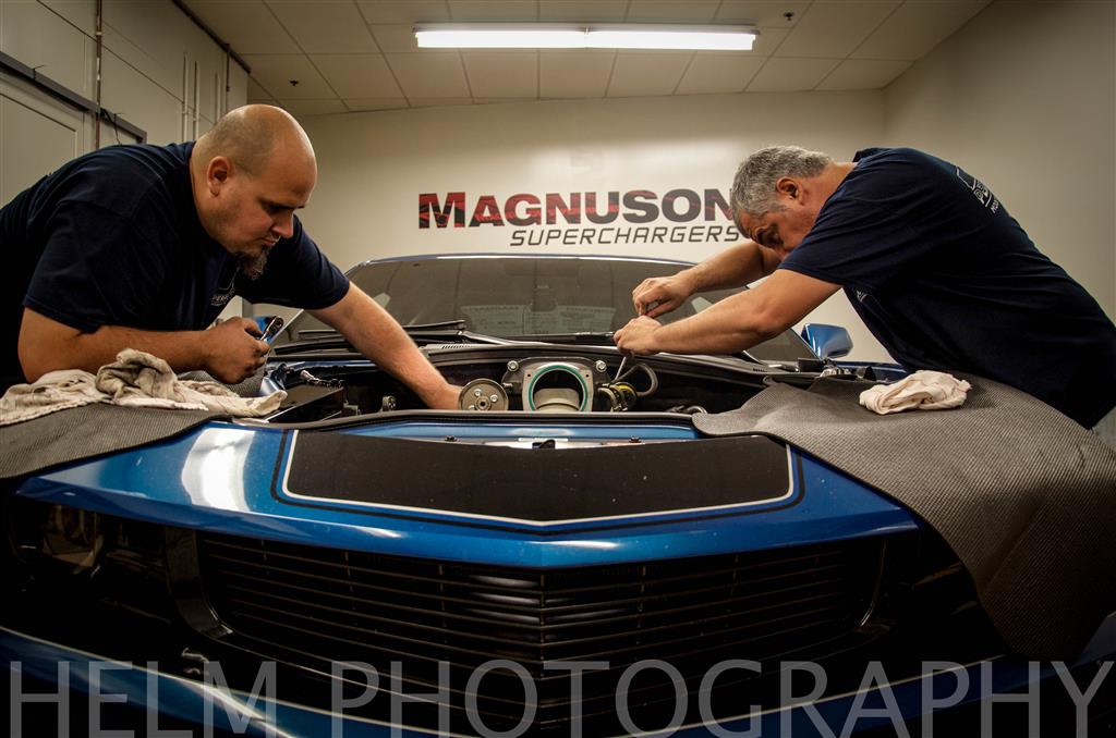 Name:  DSC_1455 (Custom).jpg
Views: 7397
Size:  109.9 KB