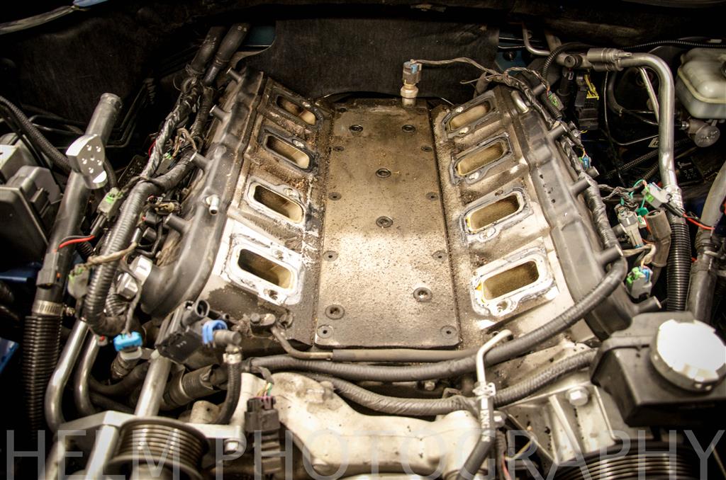 Name:  DSC_1464 (Custom).jpg
Views: 7409
Size:  155.1 KB