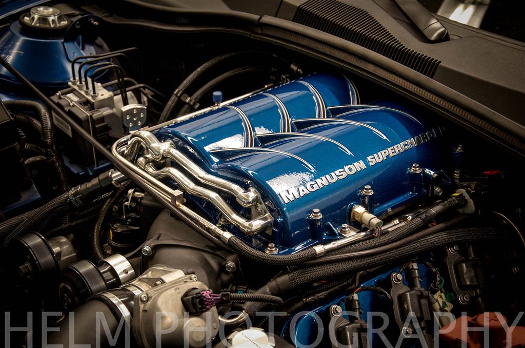 Name:  DSC_1586(Custom).jpg
Views: 7990
Size:  148.2 KB