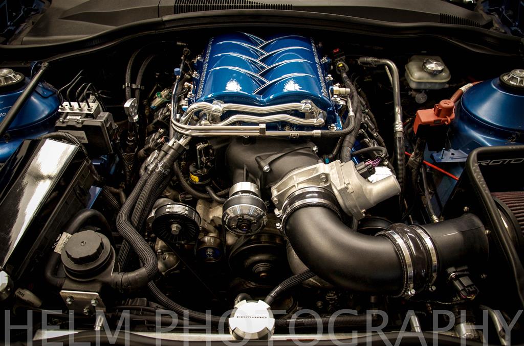 Name:  DSC_1587 (Custom).jpg
Views: 7569
Size:  148.3 KB