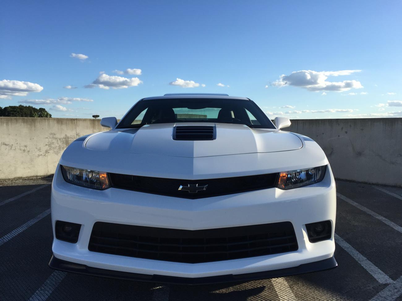 Name:  IMG_1667.jpg
Views: 636
Size:  101.7 KB