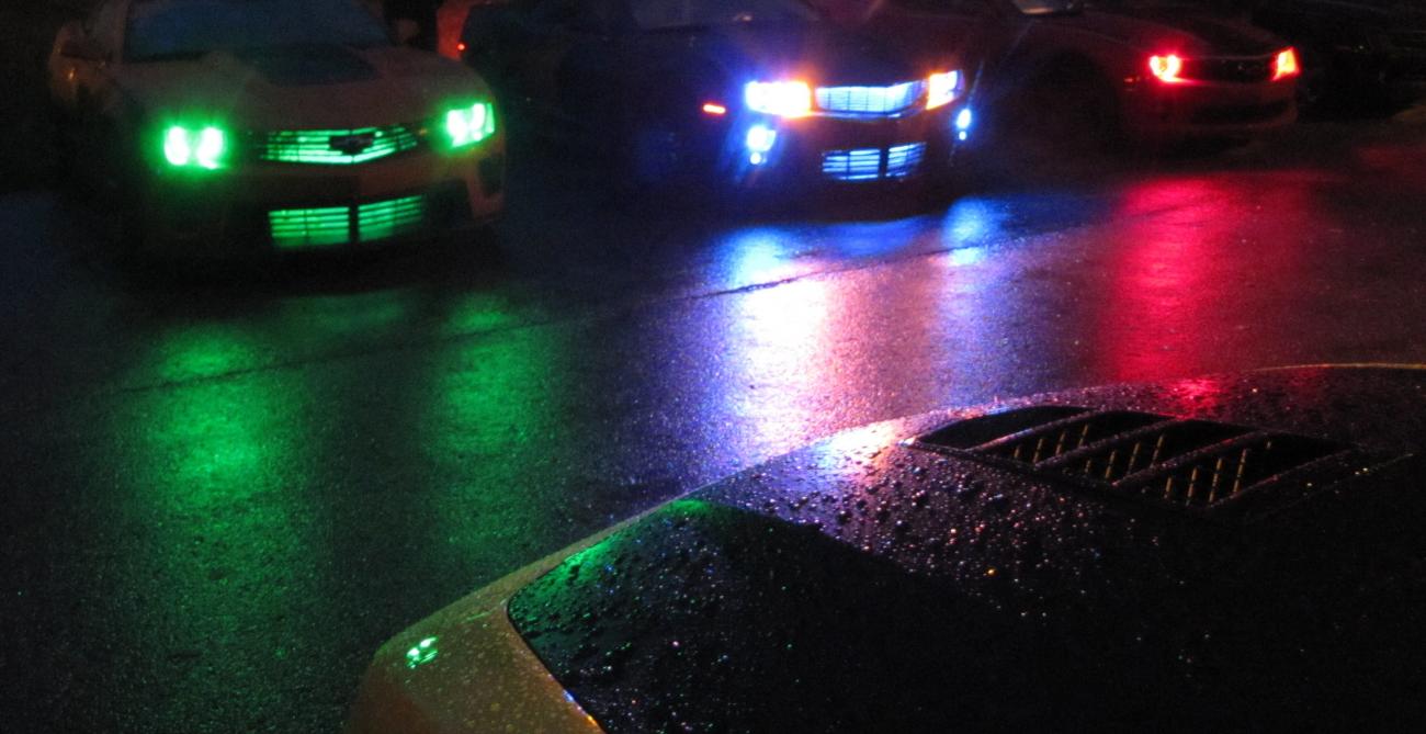 Name:  IMG_7578 crop.jpg
Views: 2236
Size:  95.2 KB