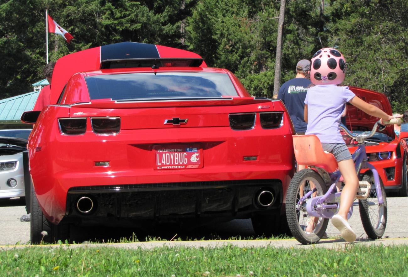 Name:  IMG_7703 crop.jpg
Views: 2235
Size:  192.4 KB