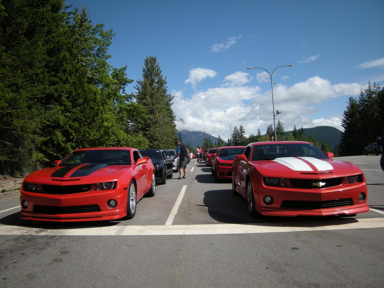 Name:  DSCN7220.jpg
Views: 2370
Size:  173.8 KB