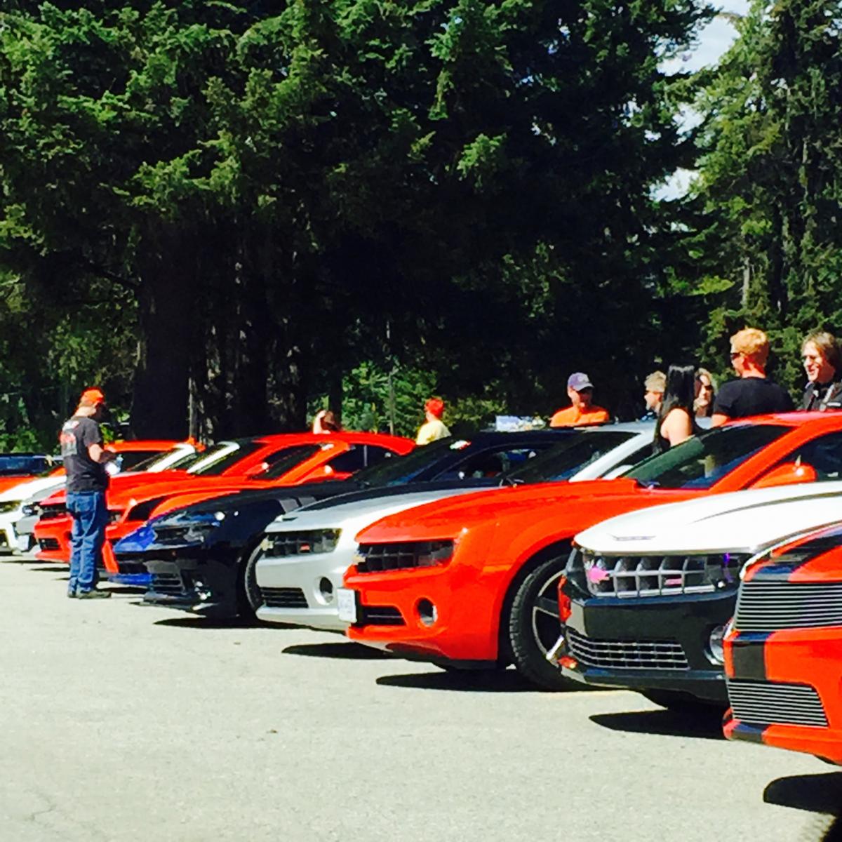 Name:  IMG_3362.jpg
Views: 2228
Size:  196.6 KB