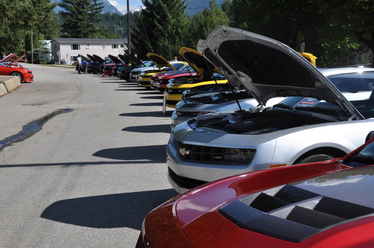 Name:  DSC_0211.jpg
Views: 2213
Size:  164.2 KB