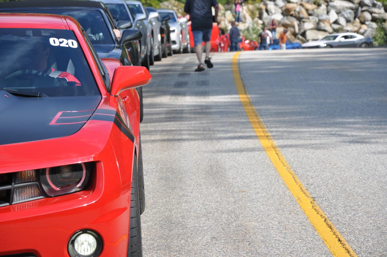 Name:  DSC_0162.jpg
Views: 2275
Size:  157.4 KB