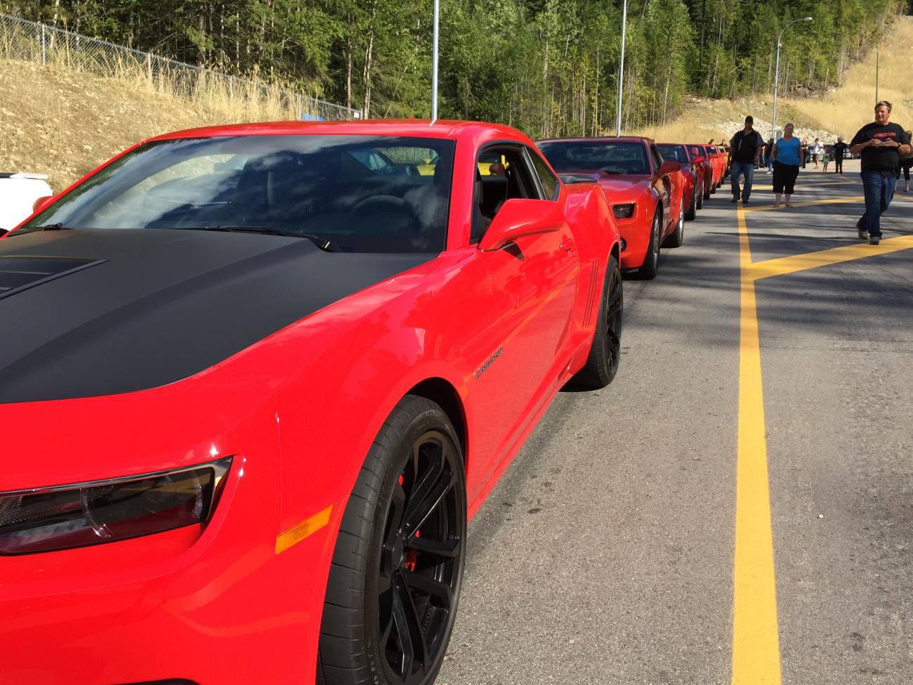 Name:  IMG_1803.jpg
Views: 2321
Size:  204.5 KB