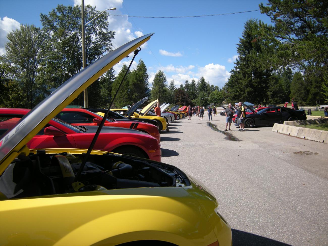 Name:  DSCN7241.jpg
Views: 2302
Size:  202.1 KB