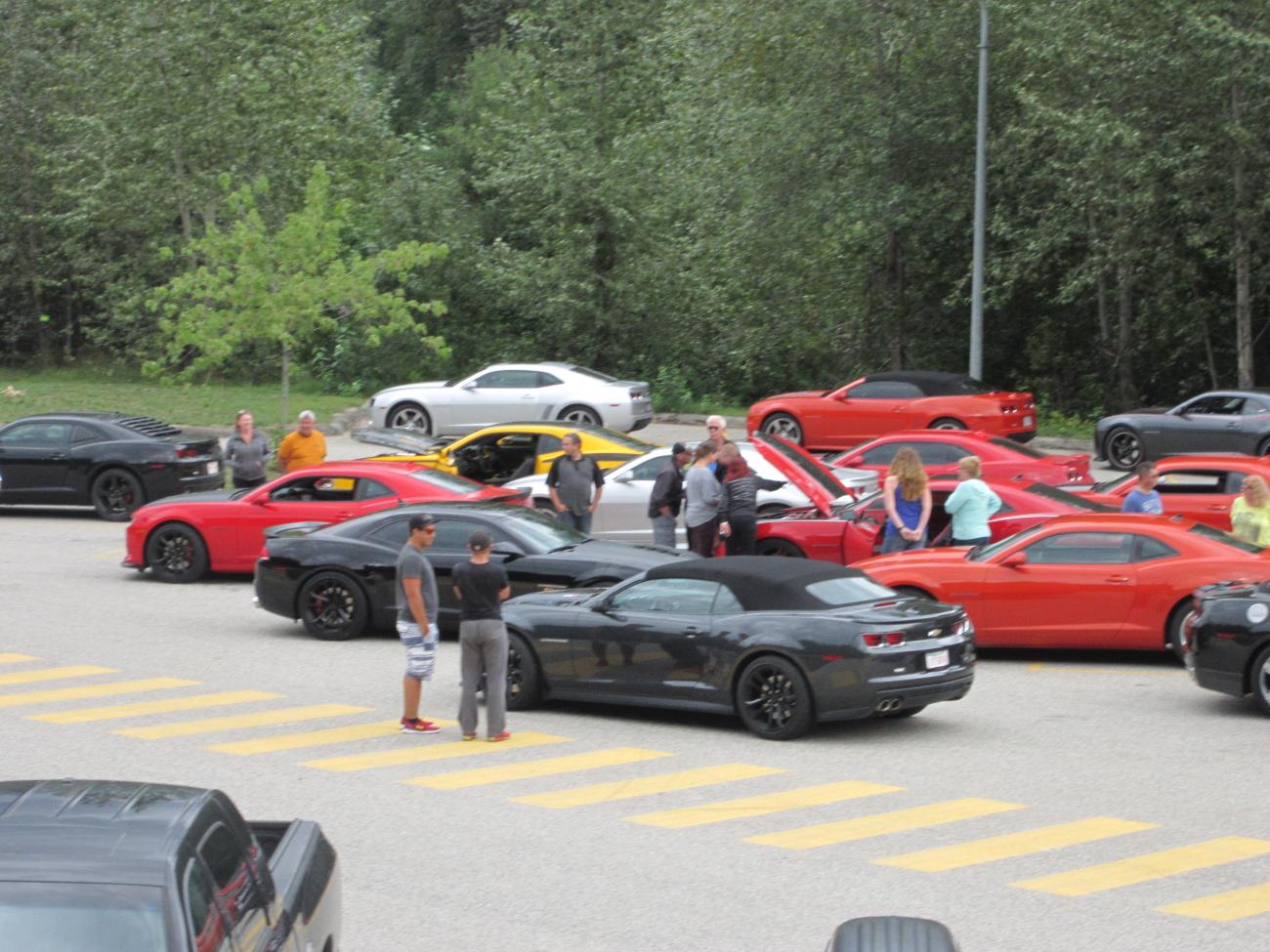 Name:  IMG_1133.jpg
Views: 2142
Size:  182.3 KB