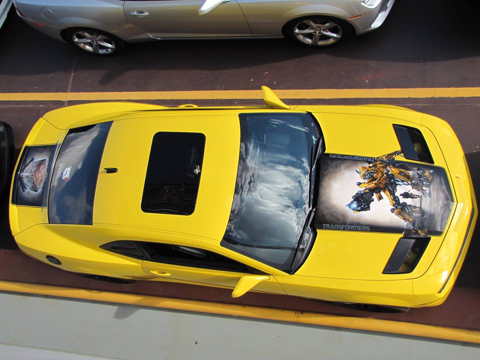 Name:  11924902_1035087176515742_6728738121885404745_n.jpg
Views: 1711
Size:  79.0 KB