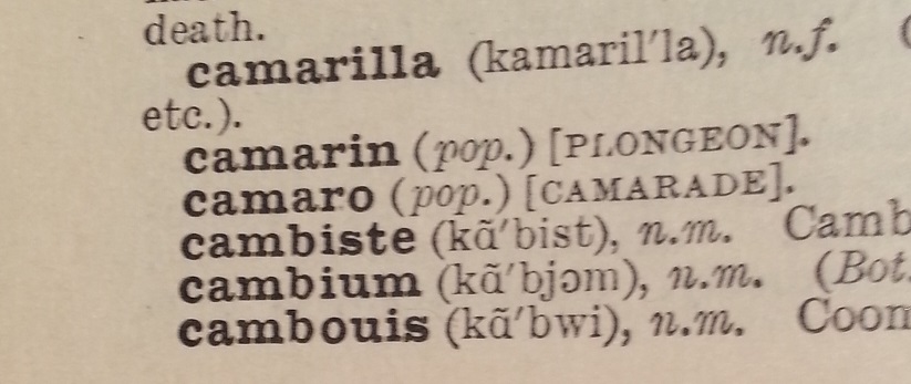 Name:  20150831_190228 resize.jpg
Views: 1119
Size:  86.8 KB