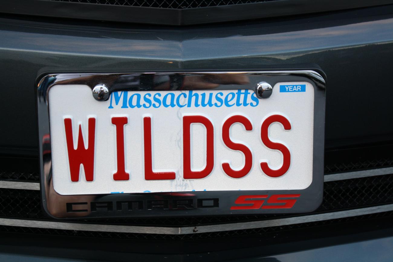 Name:  IMG_5641.jpg
Views: 387
Size:  100.6 KB