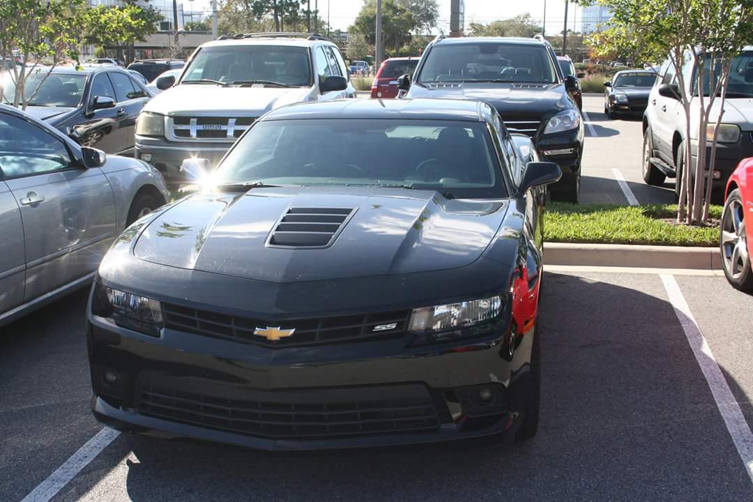 Name:  FB_IMG_1450647155818.jpg
Views: 229
Size:  92.3 KB