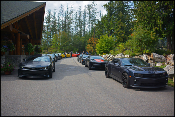 Name:  DSC_0051www.jpg
Views: 191
Size:  310.2 KB