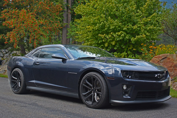 Name:  DSC_0069bwww.jpg
Views: 178
Size:  137.0 KB