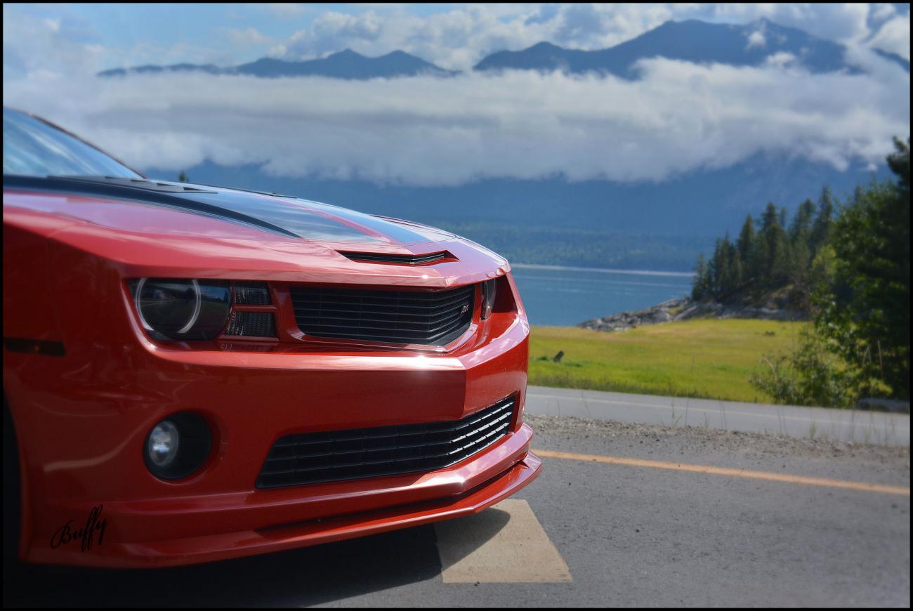 Name:  DSC_0150awww.jpg
Views: 183
Size:  102.4 KB