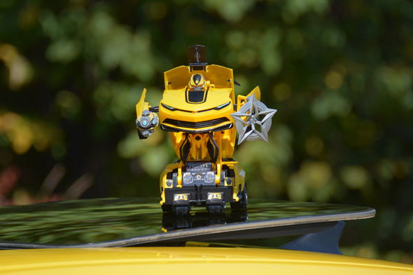 Name:  DSC_0241awww.jpg
Views: 182
Size:  134.6 KB