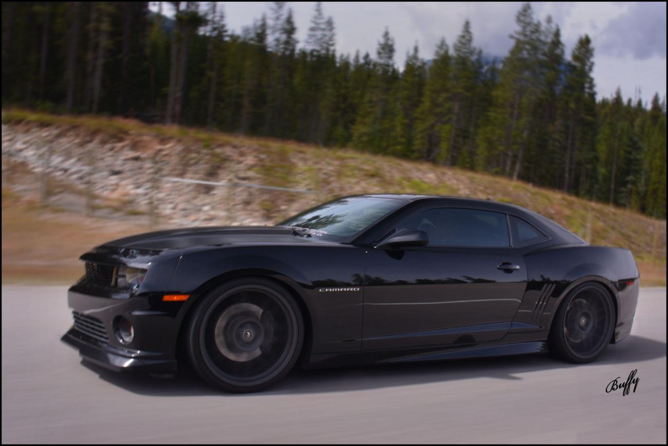 Name:  DSC_0921cwww.jpg
Views: 178
Size:  87.3 KB