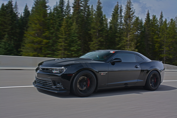 Name:  DSC_0959awww.jpg
Views: 183
Size:  193.5 KB