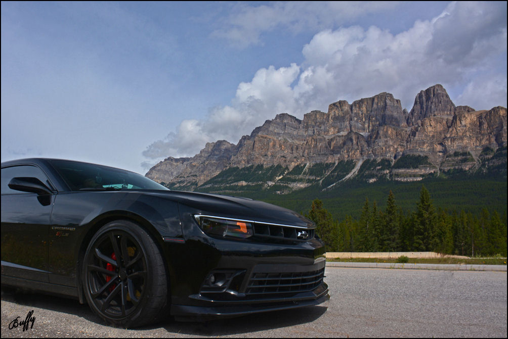 Name:  DSC_0996cwww.jpg
Views: 166
Size:  119.7 KB