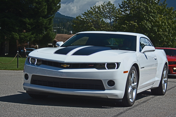 Name:  DSC_0574awww.jpg
Views: 173
Size:  174.1 KB