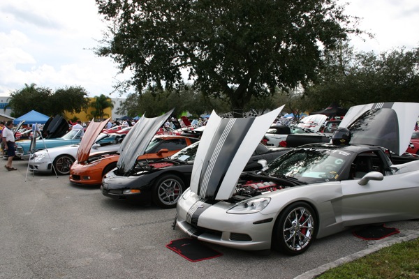 Name:  IMG_0481.JPG
Views: 344
Size:  110.8 KB