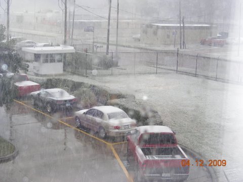 Name:  snowoncamaro.JPG
Views: 237
Size:  38.3 KB