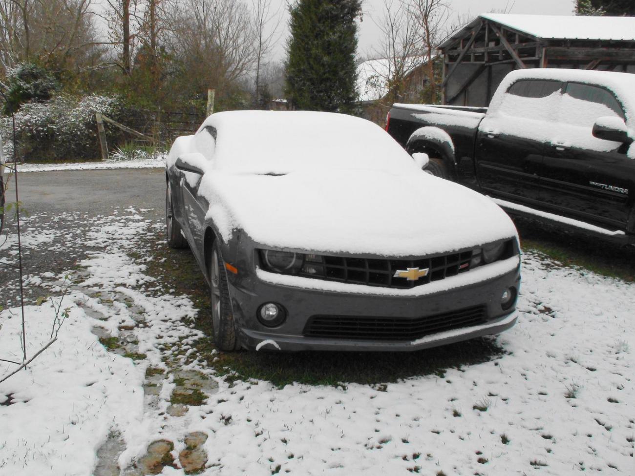 Name:  DSC00208.jpg
Views: 1005
Size:  175.8 KB