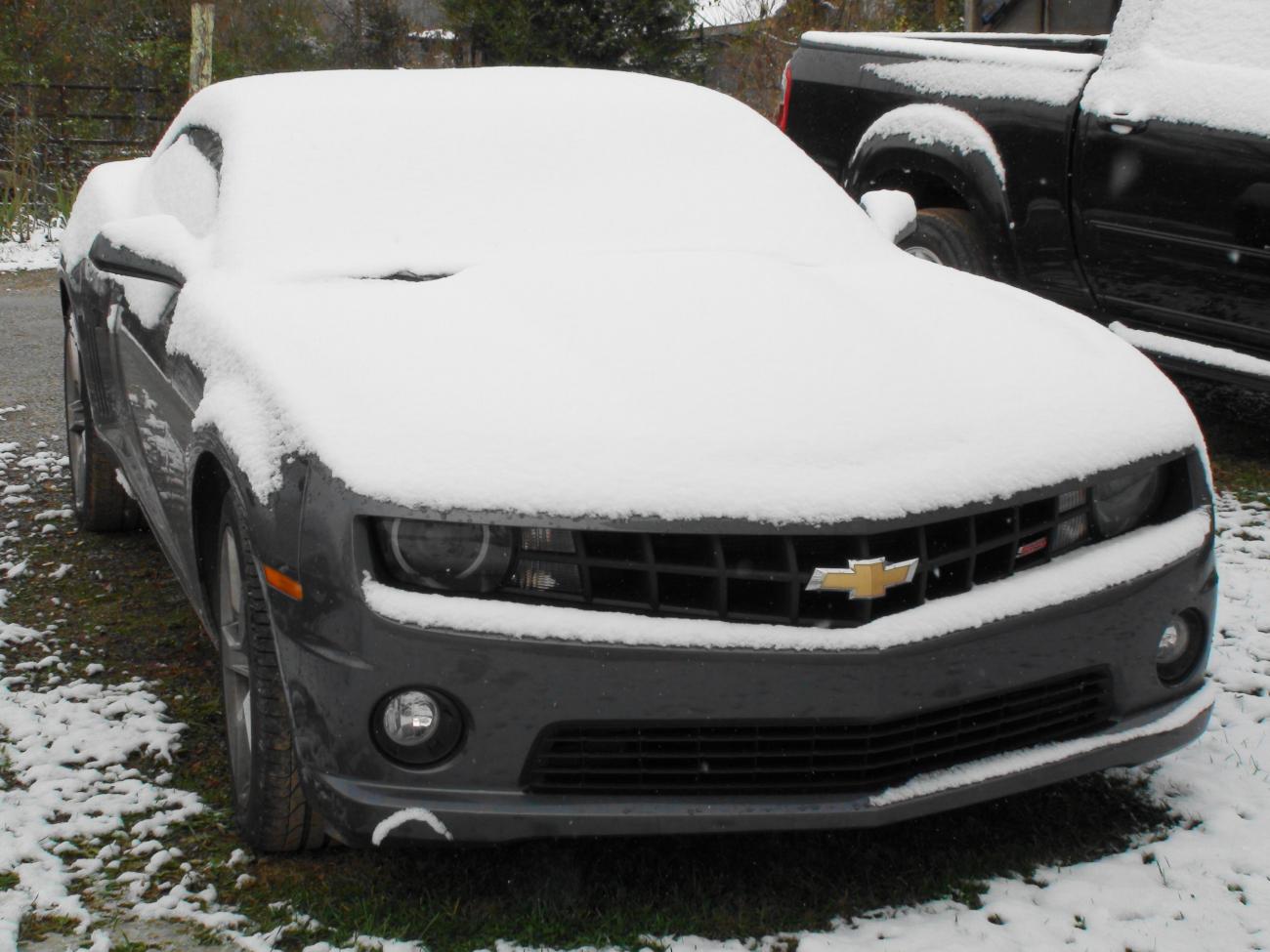 Name:  DSC00209.jpg
Views: 1017
Size:  129.4 KB