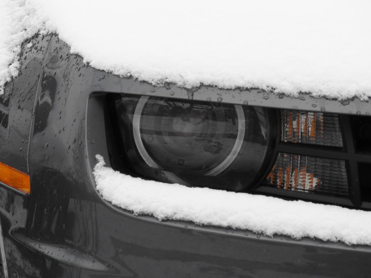 Name:  DSC00211.jpg
Views: 971
Size:  94.4 KB