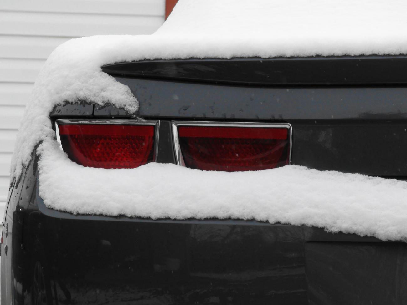 Name:  DSC00214.jpg
Views: 966
Size:  78.5 KB