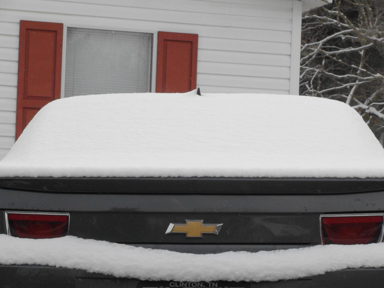 Name:  DSC00215.jpg
Views: 1009
Size:  85.2 KB