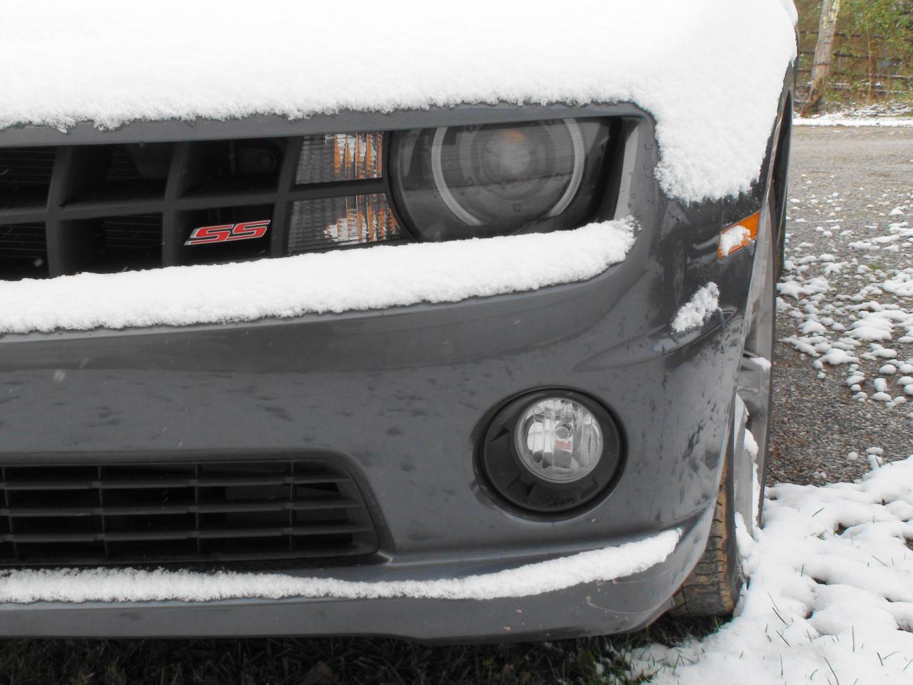 Name:  DSC00217.jpg
Views: 965
Size:  129.9 KB