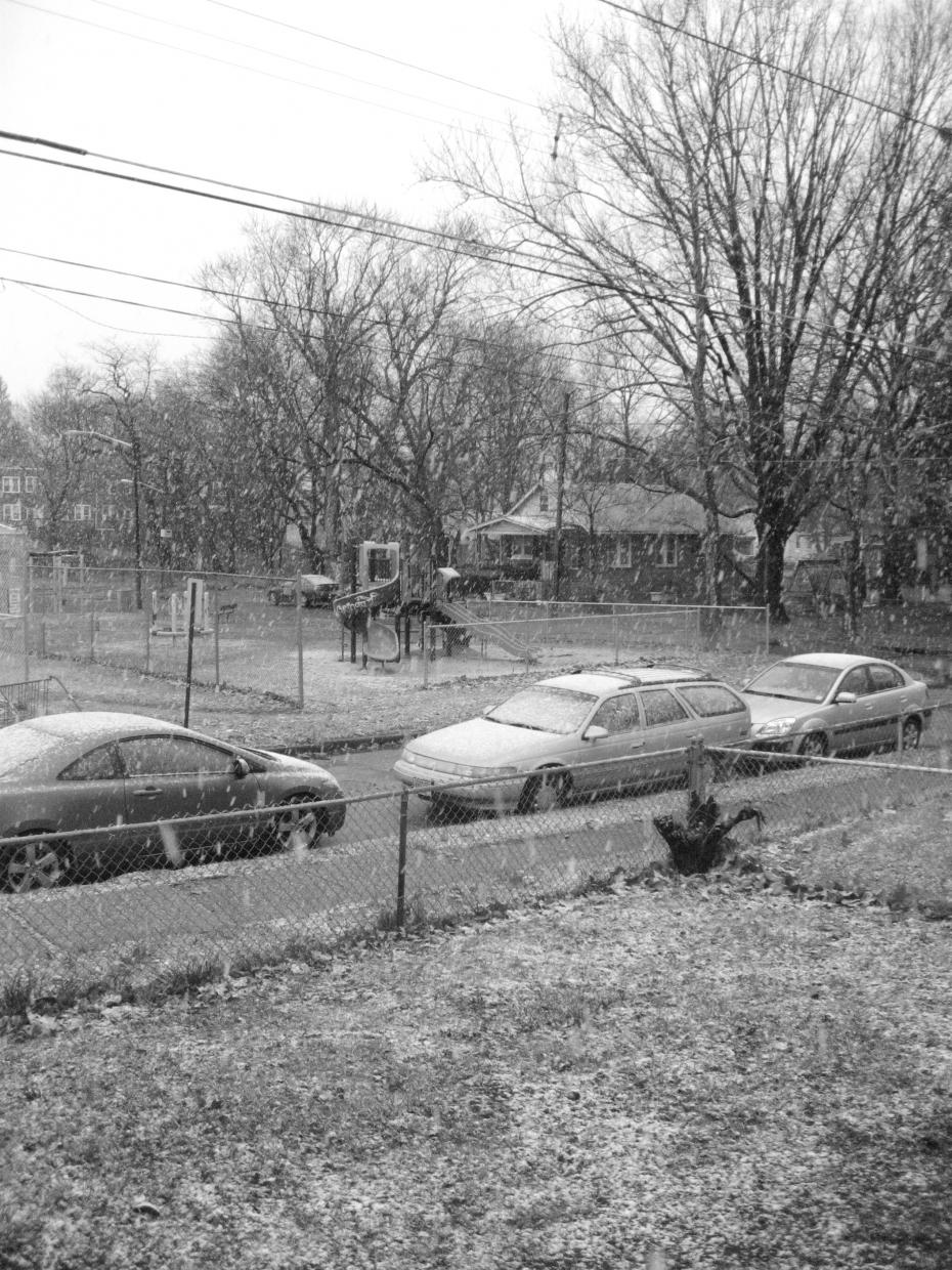 Name:  IMG_3734.jpg
Views: 4193
Size:  246.3 KB