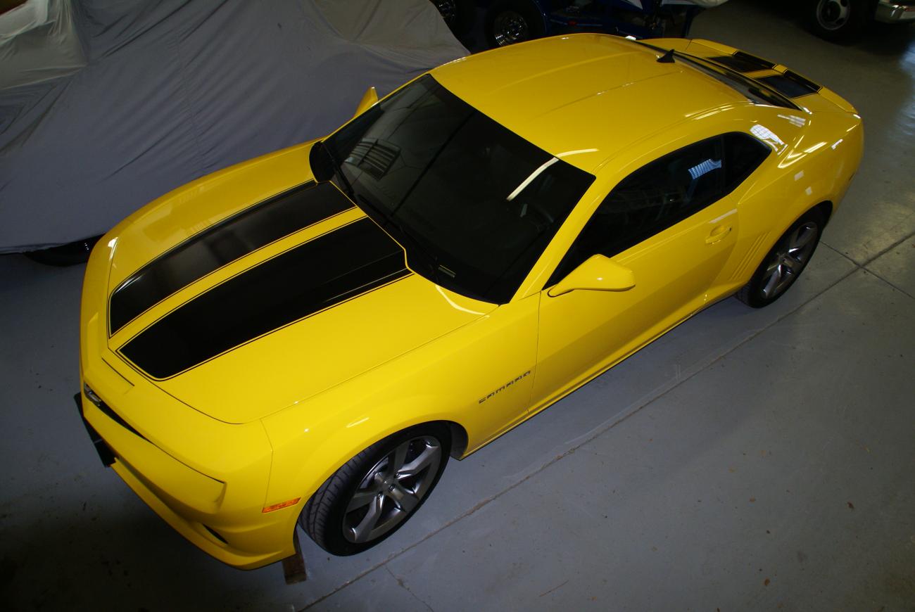 Name:  Yellow Bee.jpg
Views: 2556
Size:  91.8 KB