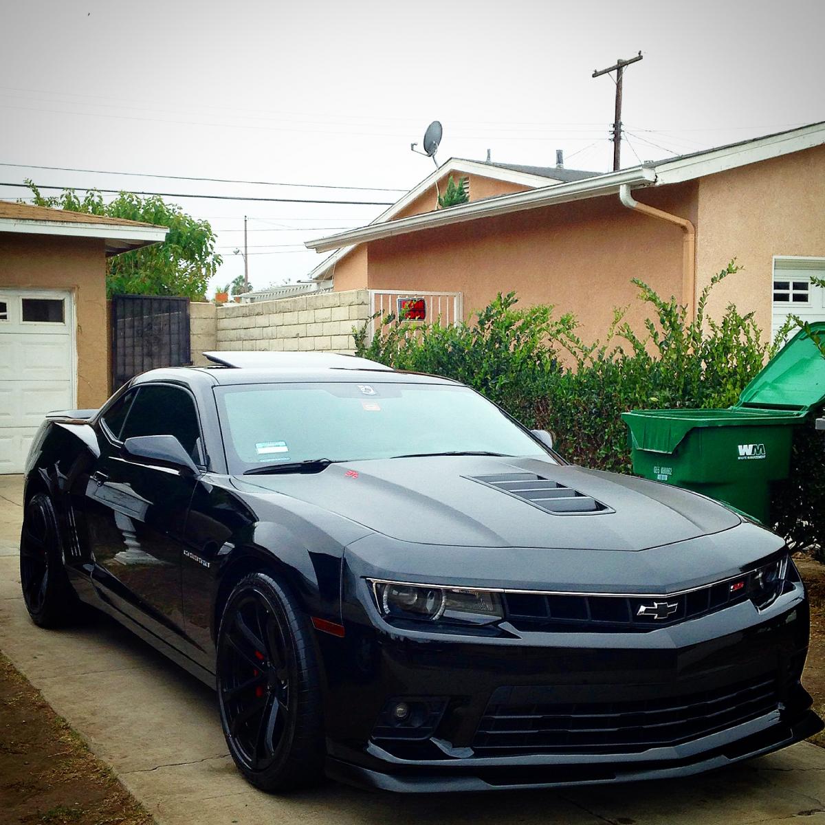 Name:  IMG_7328.jpg
Views: 1904
Size:  202.2 KB