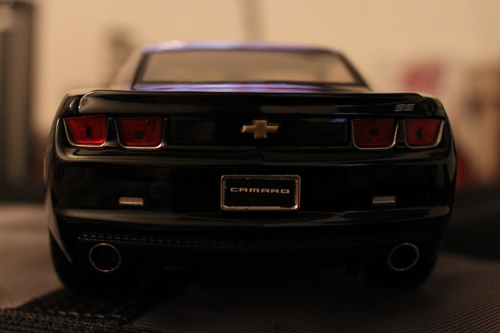 Name:  IMG_6709.JPG
Views: 6173
Size:  151.3 KB