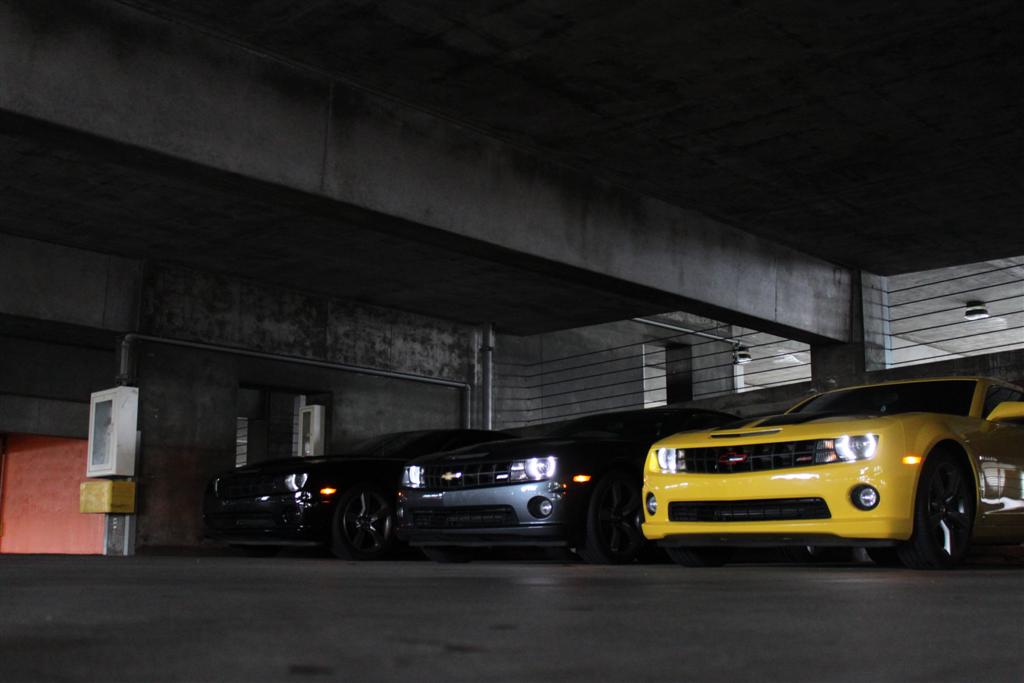 Name:  IMG_6416.JPG
Views: 980
Size:  68.2 KB