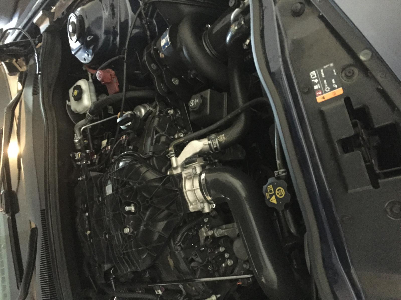 Name:  IMG_0239[1].jpg
Views: 248
Size:  207.6 KB