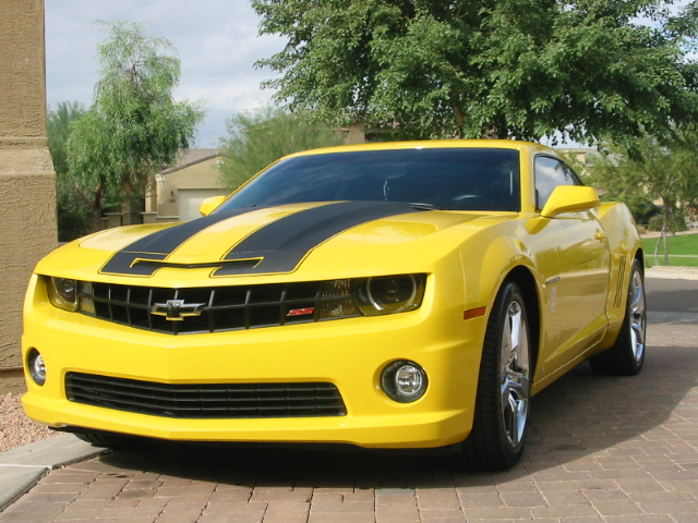 Name:  Bumble Bee Pics New Stripes 001.JPG
Views: 2370
Size:  202.2 KB