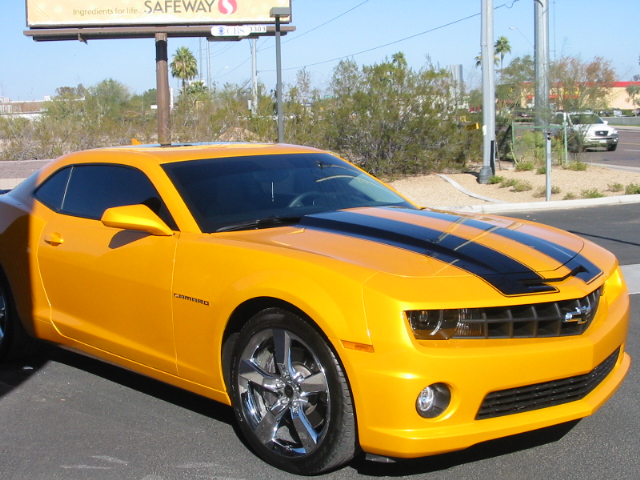 Name:  Finished Bee Pictures 005.JPG
Views: 163
Size:  194.9 KB