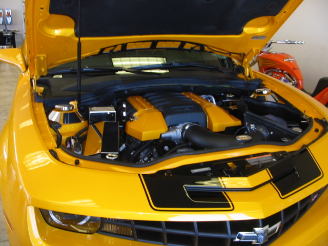 Name:  Finished Bee Pictures 004.JPG
Views: 177
Size:  173.8 KB