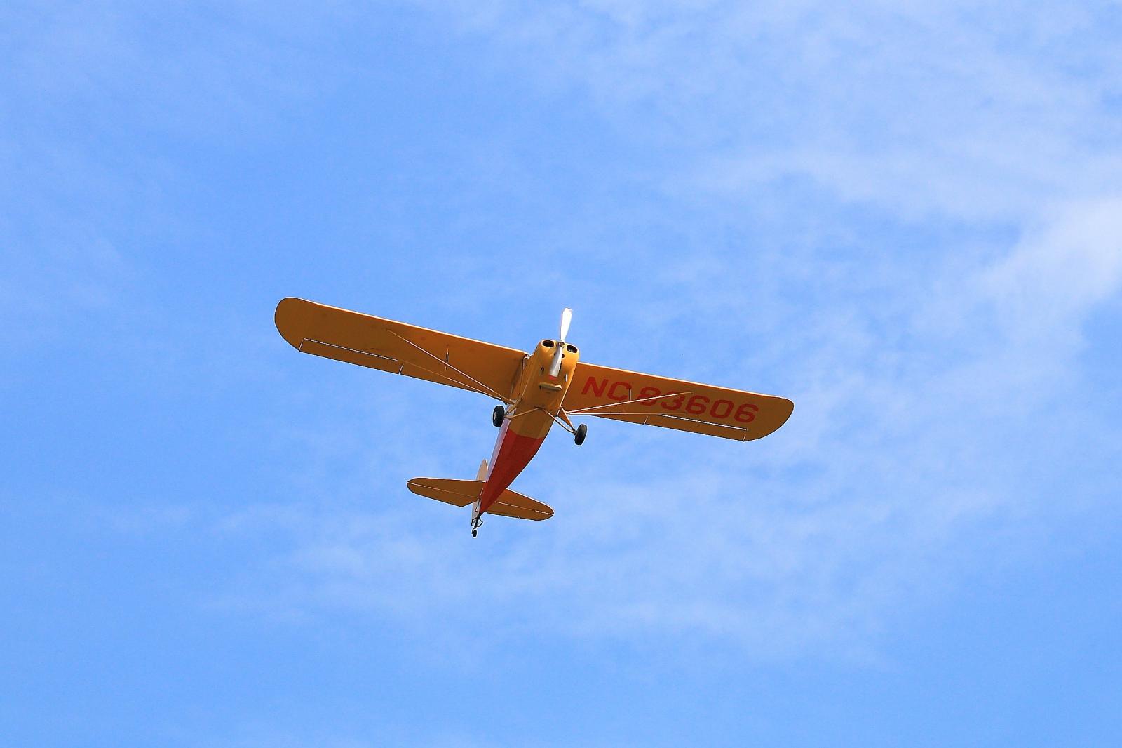 Name:  IMG_3571.jpg
Views: 590
Size:  84.0 KB