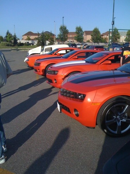 Name:  Paige at car show.bmp 2.jpg
Views: 314
Size:  53.8 KB